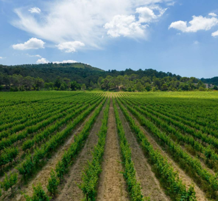 Château La Coste