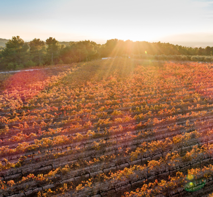 Clos Montblanc