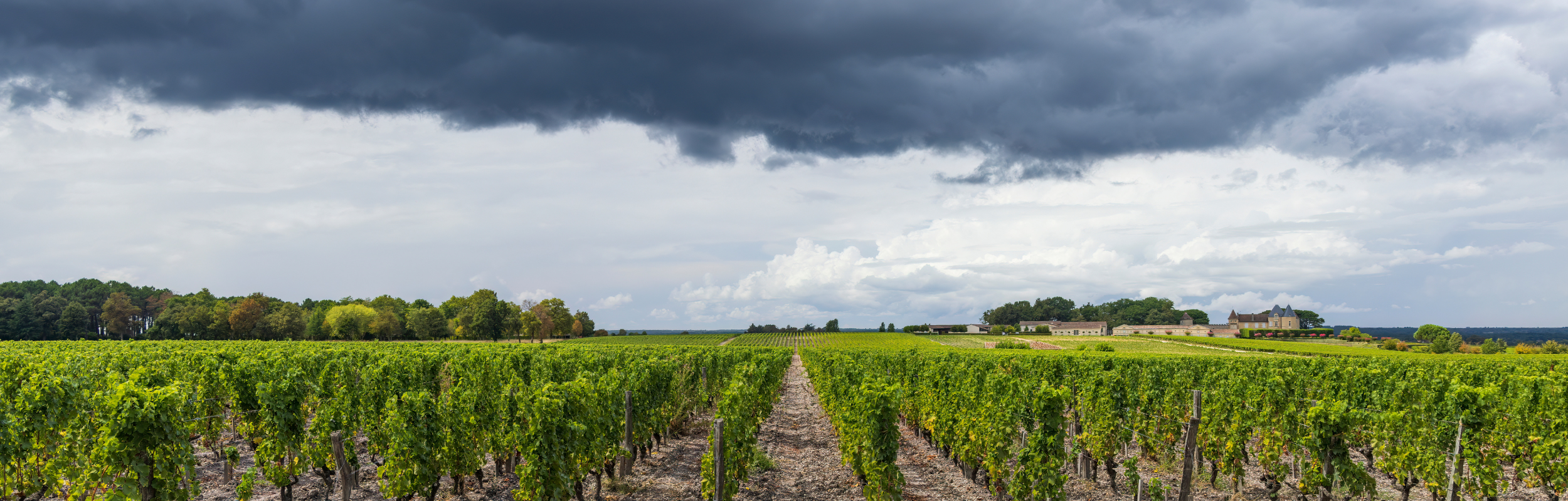 Sauternes