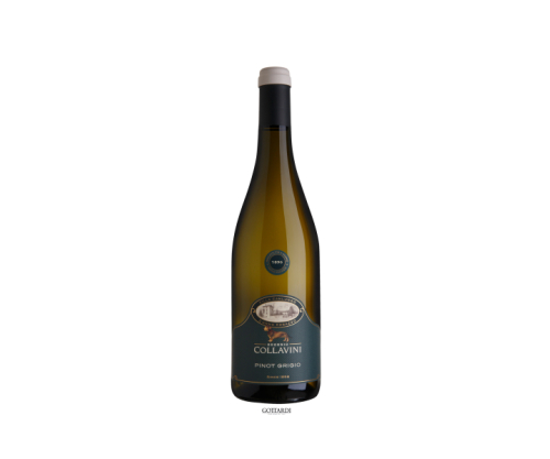 Pinot Grigio Collio Canlungo DOC 2022