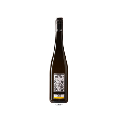 Grüner Veltliner Am Berg 2022 BIO