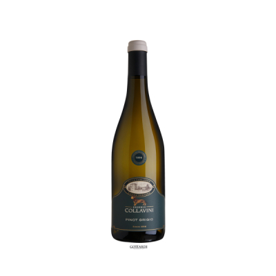 Pinot Grigio Collio Canlungo DOC 2022